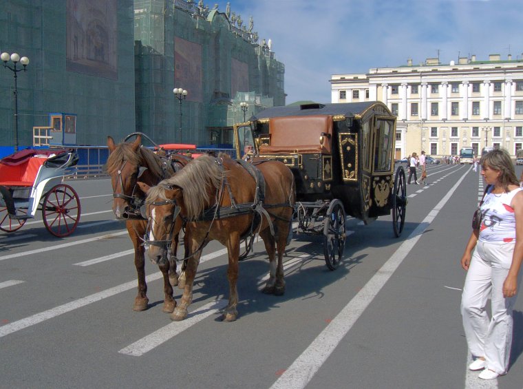 Мадам, ваша карета